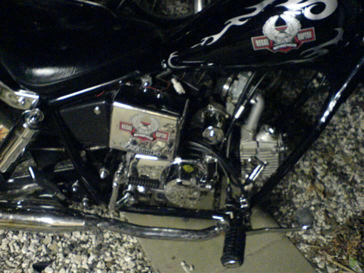 Regal Raptor - SOLGT billede 4