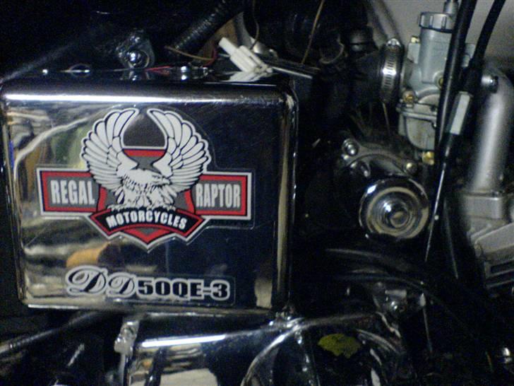 Regal Raptor - SOLGT billede 7