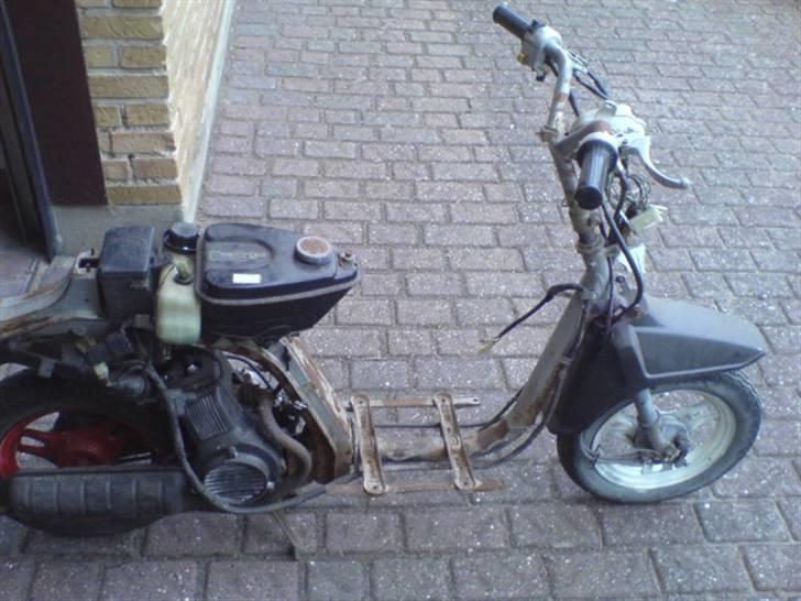 Honda melody (projekt) solgt billede 6