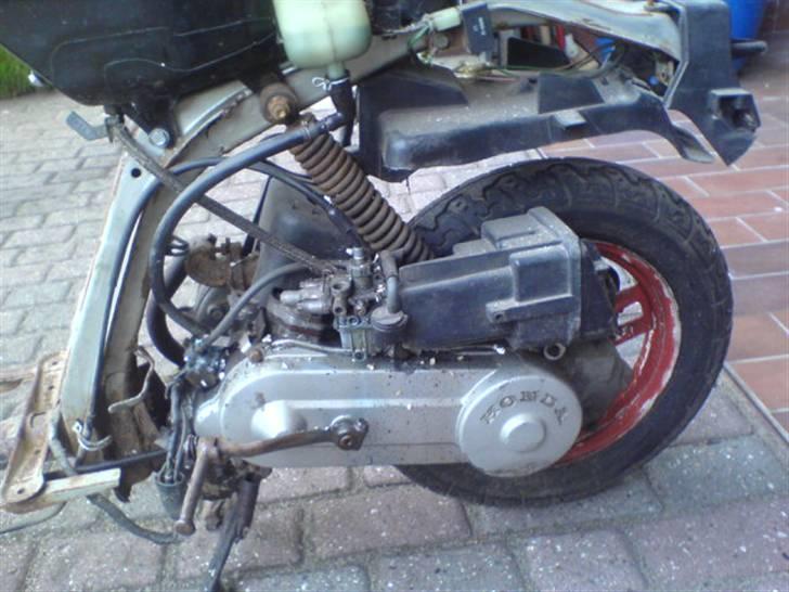 Honda melody (projekt) solgt billede 7