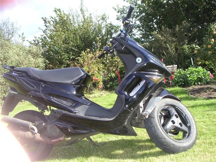 Aprilia Rally *PROJECT* billede 2