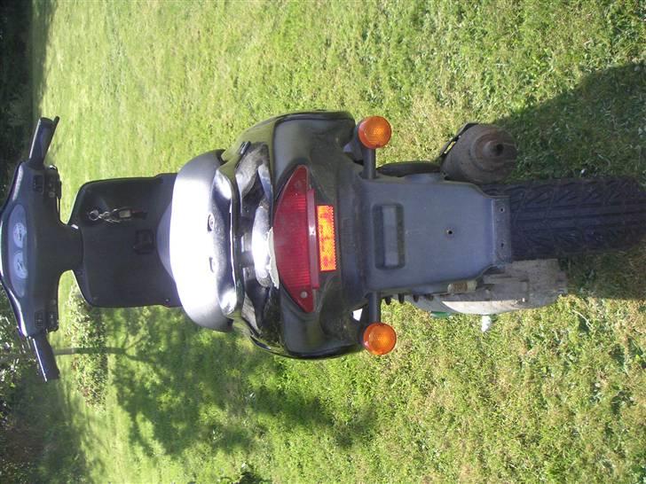 Aprilia Rally *PROJECT* billede 5