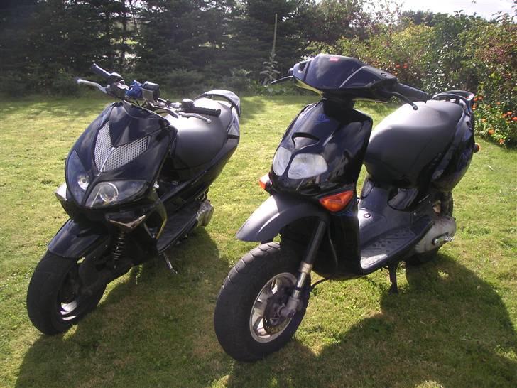 Aprilia Rally *PROJECT* billede 10