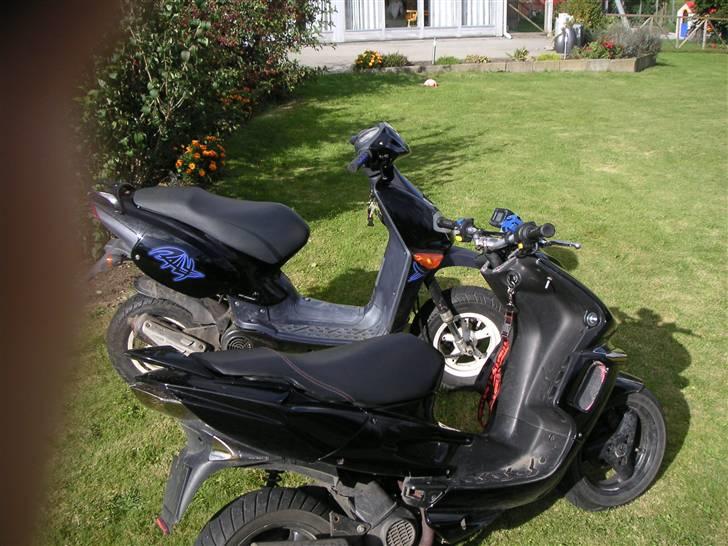 Aprilia Rally *PROJECT* billede 13