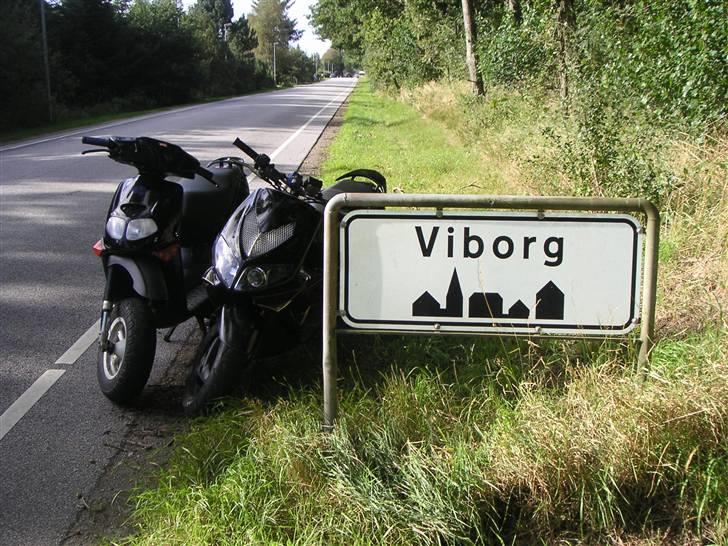 Aprilia Rally *PROJECT* billede 14