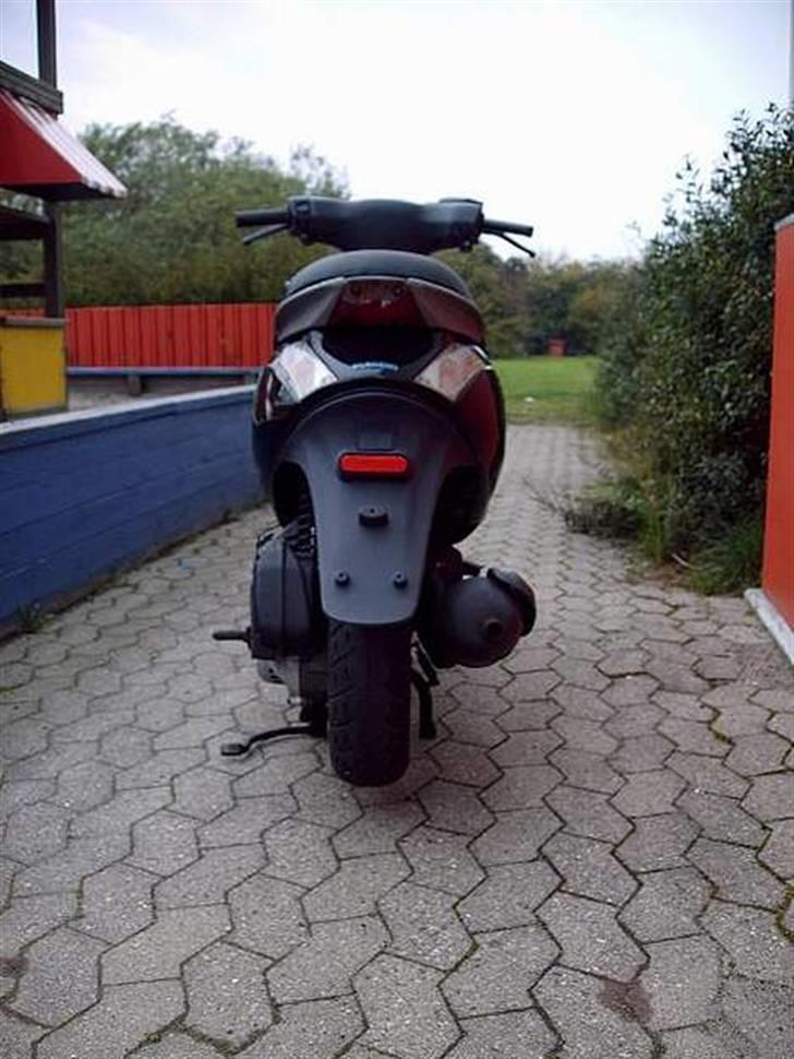Piaggio new zip døde billede 12