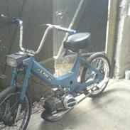 Puch maxi k