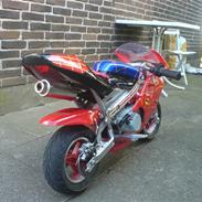 MiniBike pocketbike (SOLGT)