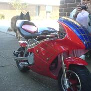 MiniBike pocketbike (SOLGT)