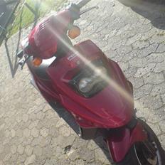 PGO Hot 50 {Reservedele}