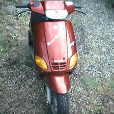 Piaggio zip