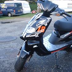 TGB Pegasus  303R Hawk