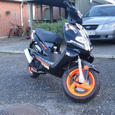 TGB Pegasus  303R Hawk