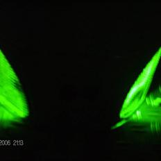 Gilera stalker Taget af politiet