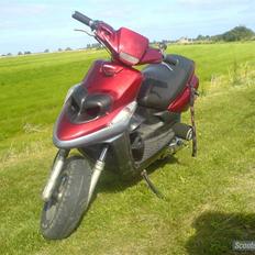 Yamaha bws projekt byttet