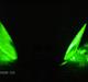 Gilera stalker Taget af politiet