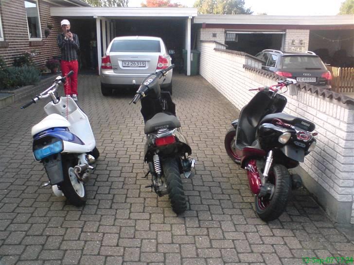 PGO Hot 50 (SOLGT) billede 13