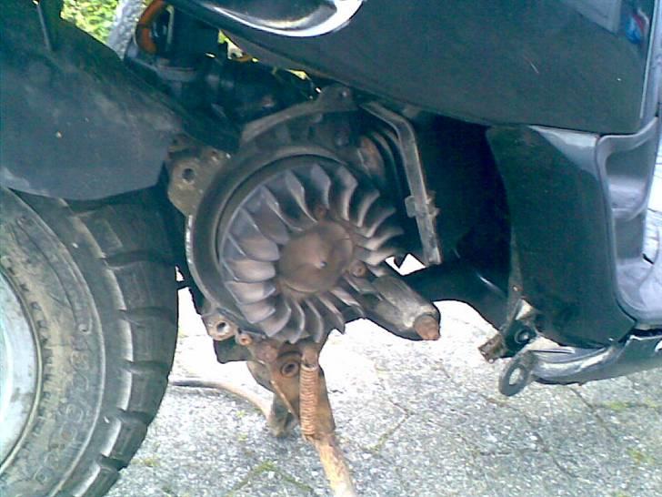 Piaggio typhoon 45'er (SOLGT) billede 3