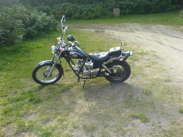 Regal Raptor - SOLGT billede 8