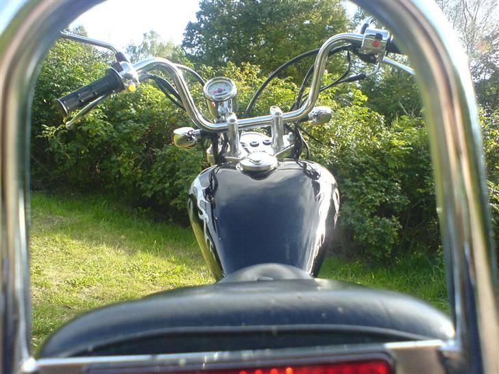 Regal Raptor - SOLGT billede 9