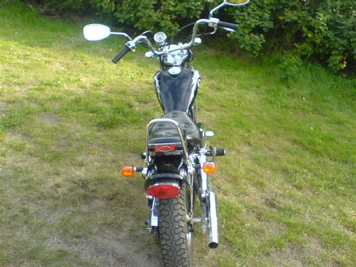 Regal Raptor - SOLGT billede 11