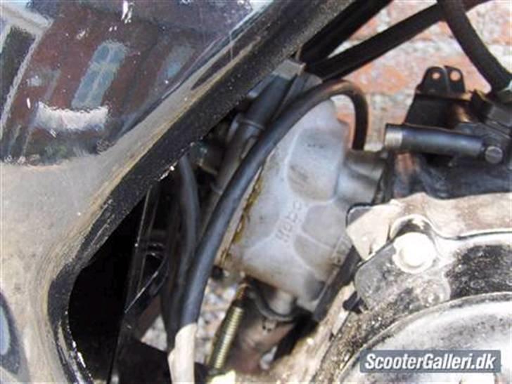 Gilera Runner LC " Misser "  billede 3