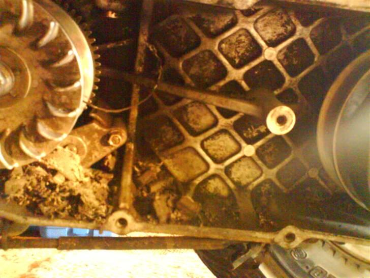 PGO HOT 50 billede 8