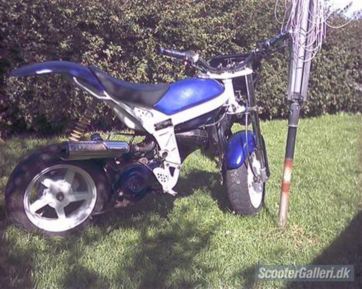 Suzuki Street magic billede 7