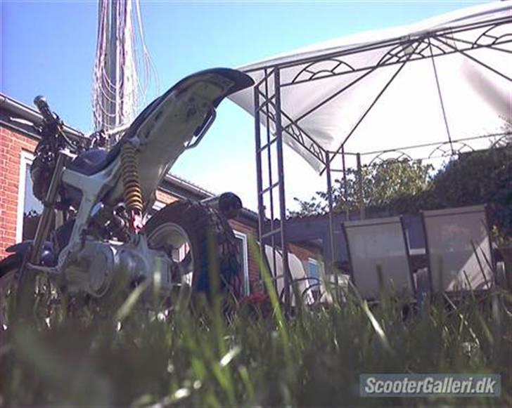 Suzuki Street magic billede 8