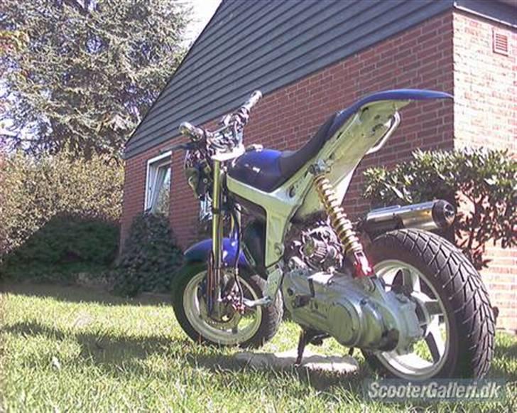 Suzuki Street magic billede 10