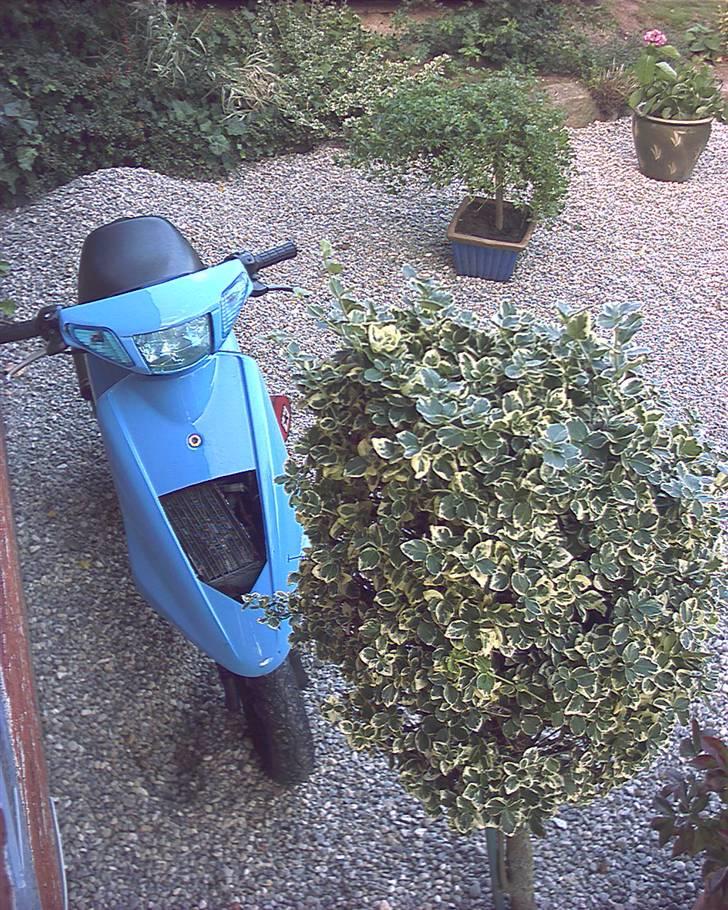 Yamaha Jog as  **SOLGT** billede 10