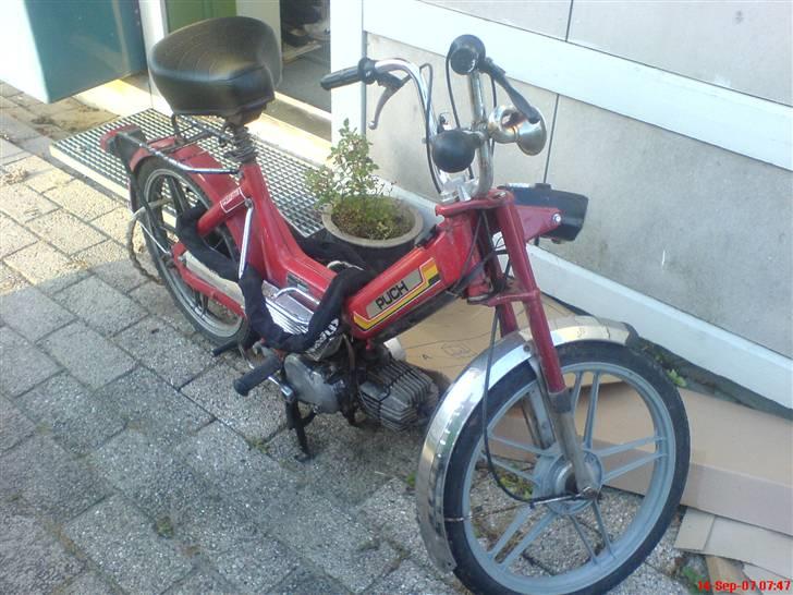Puch Maxi /// solgt :o billede 1