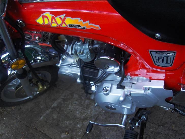 Skyteam Dax billede 6