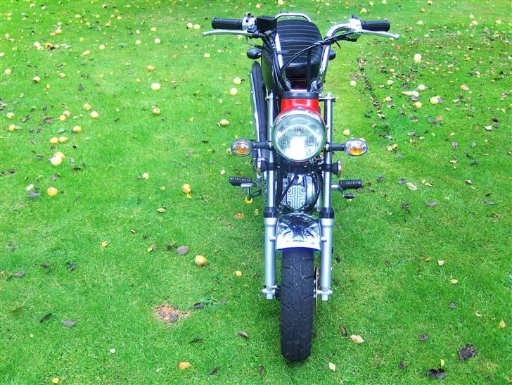 Skyteam Dax billede 15