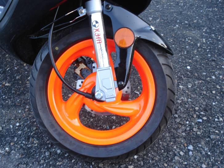 TGB Pegasus  303R Hawk billede 4