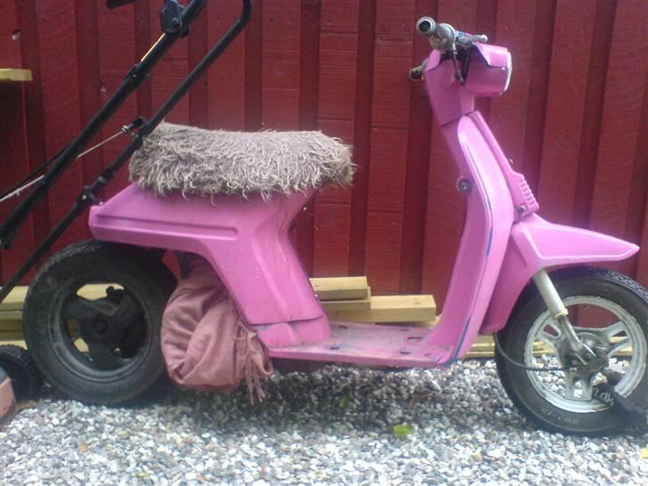 Honda melody/sfx solgt billede 5
