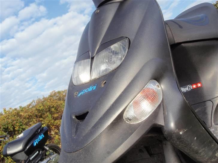 Gilera Stalker oX - Fronten billede 6