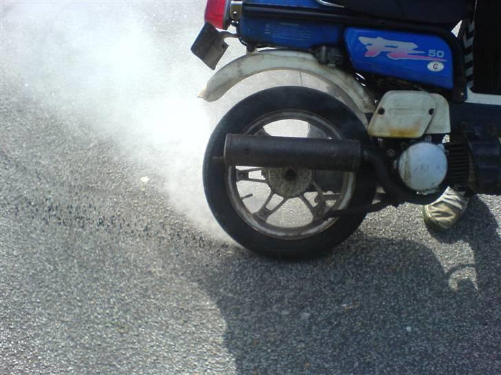 Suzuki fz 50 billede 14