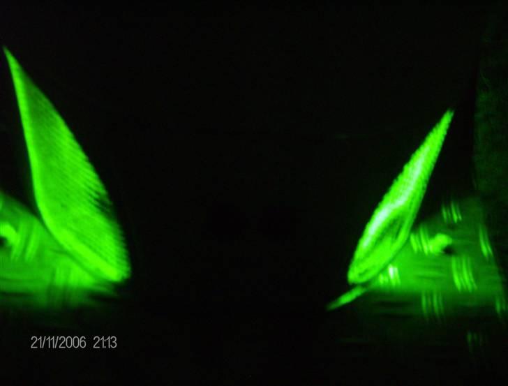 Gilera stalker Taget af politiet billede 1