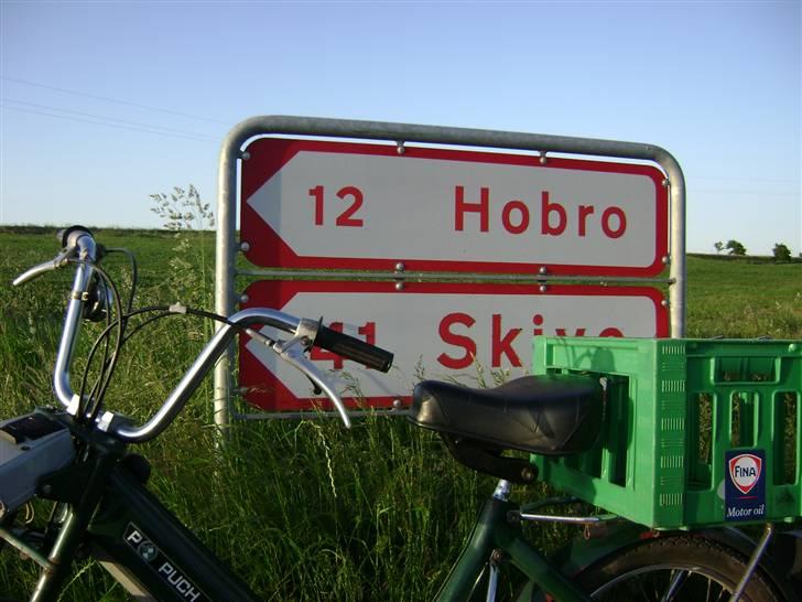 Puch Maxi P - Orginal - 4 juni 08, ude og nyde det gode vejr en sommeraften, ved skivevejen/fristrup! billede 2