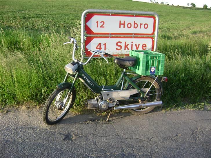 Puch Maxi P - Orginal - 4 juni 08, ude og nyde det gode vejr en sommeraften, ved skivevejen/fristrup! billede 3