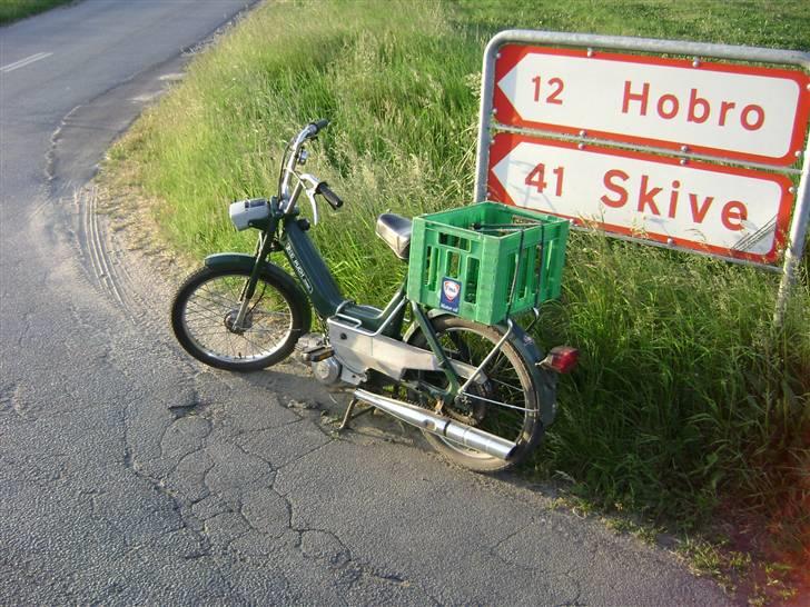Puch Maxi P - Orginal - 4 juni 08, ude og nyde det gode vejr en sommeraften, ved skivevejen/fristrup! billede 4