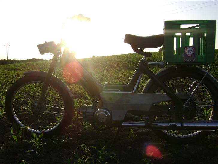 Puch Maxi P - Orginal - 4 juni 08, ude og nyde det gode vejr en sommeraften, ved skivevejen/fristrup! billede 8