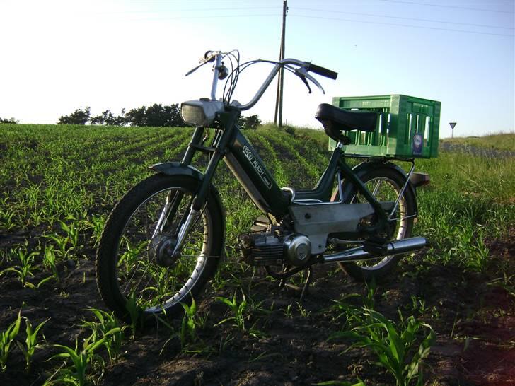 Puch Maxi P - Orginal - 4 juni 08, ude og nyde det gode vejr en sommeraften, ved skivevejen/fristrup! billede 9