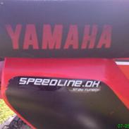 Yamaha sting SOLGT