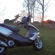 Benelli 491 st (SOLGT)