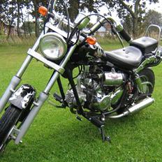 Regal Raptor [Solgt]