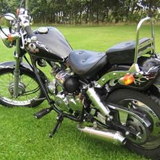 Regal Raptor [Solgt]