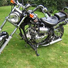 Regal Raptor [Solgt]