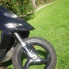 Gilera $talker CORSA>>SOLGT